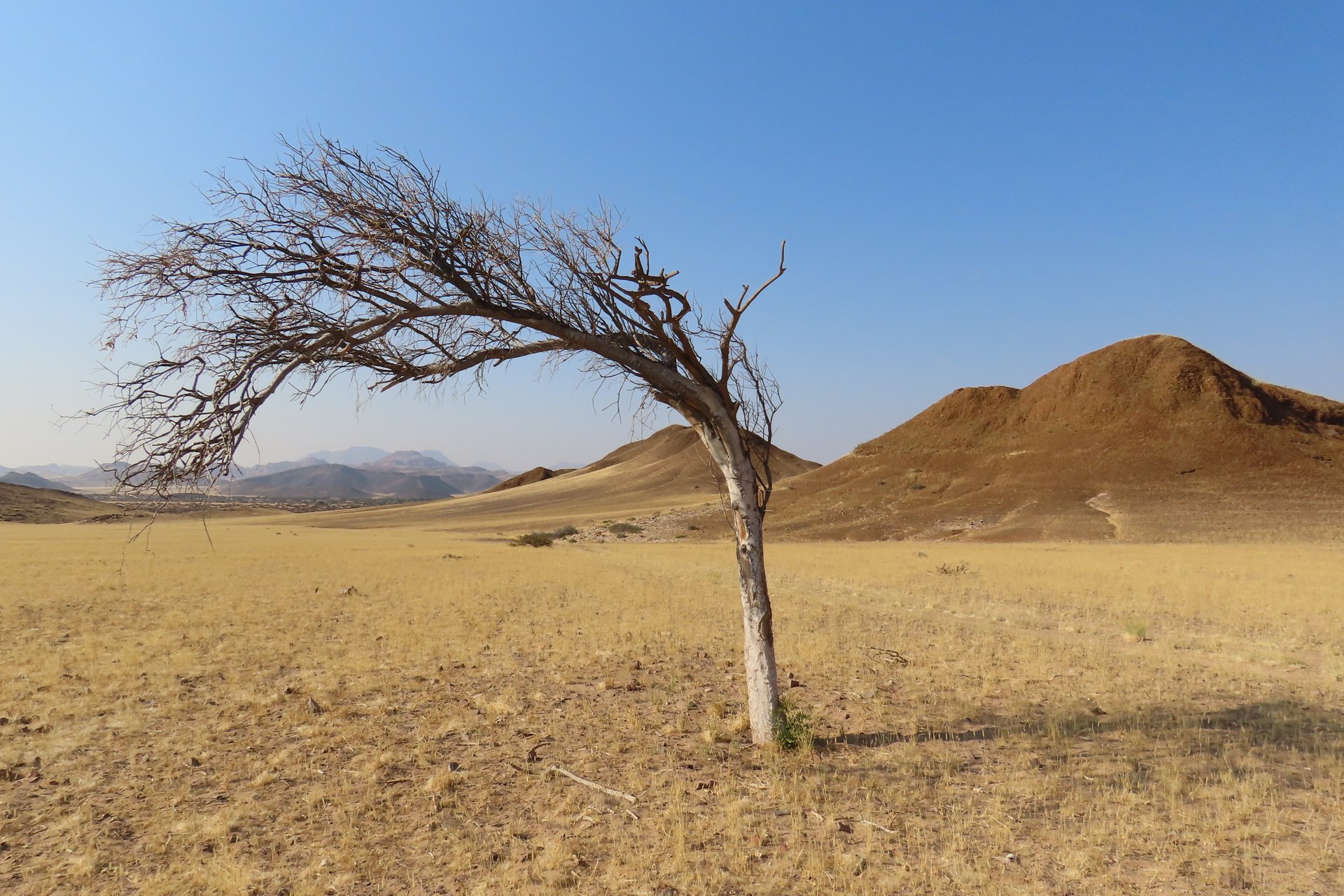 Open Damaraland landscape