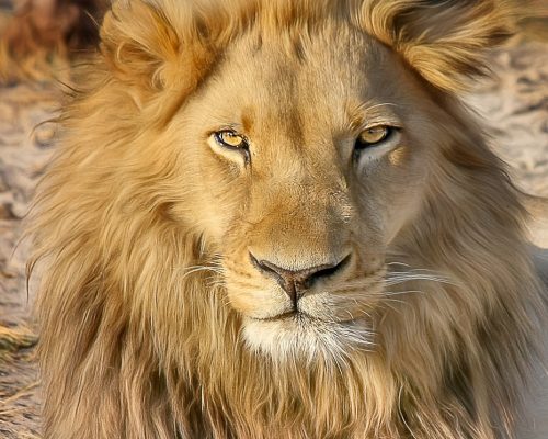 Botswana Front Page image