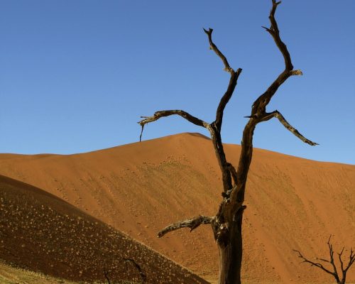 namibia-2046774_1280